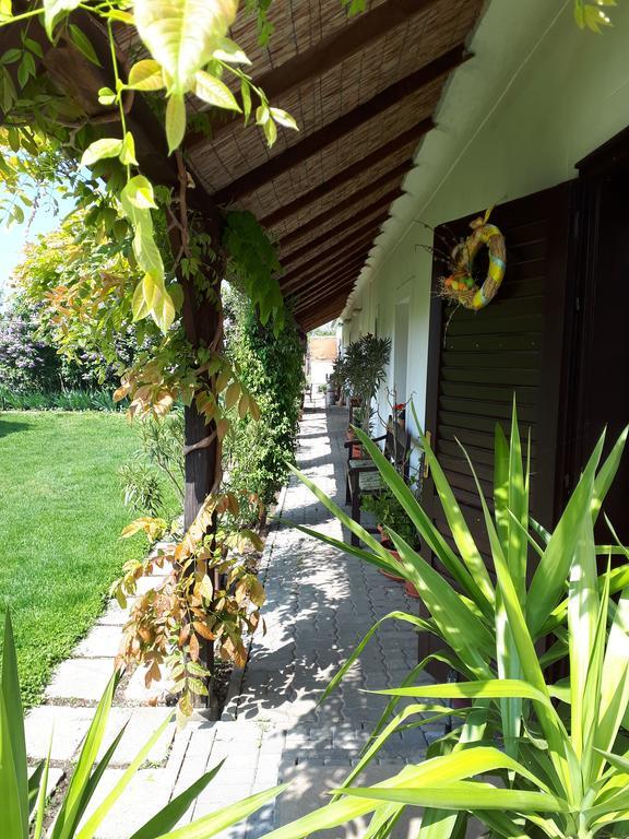 Vendektanya Vendeghaz Hotell Tapolca Exteriör bild