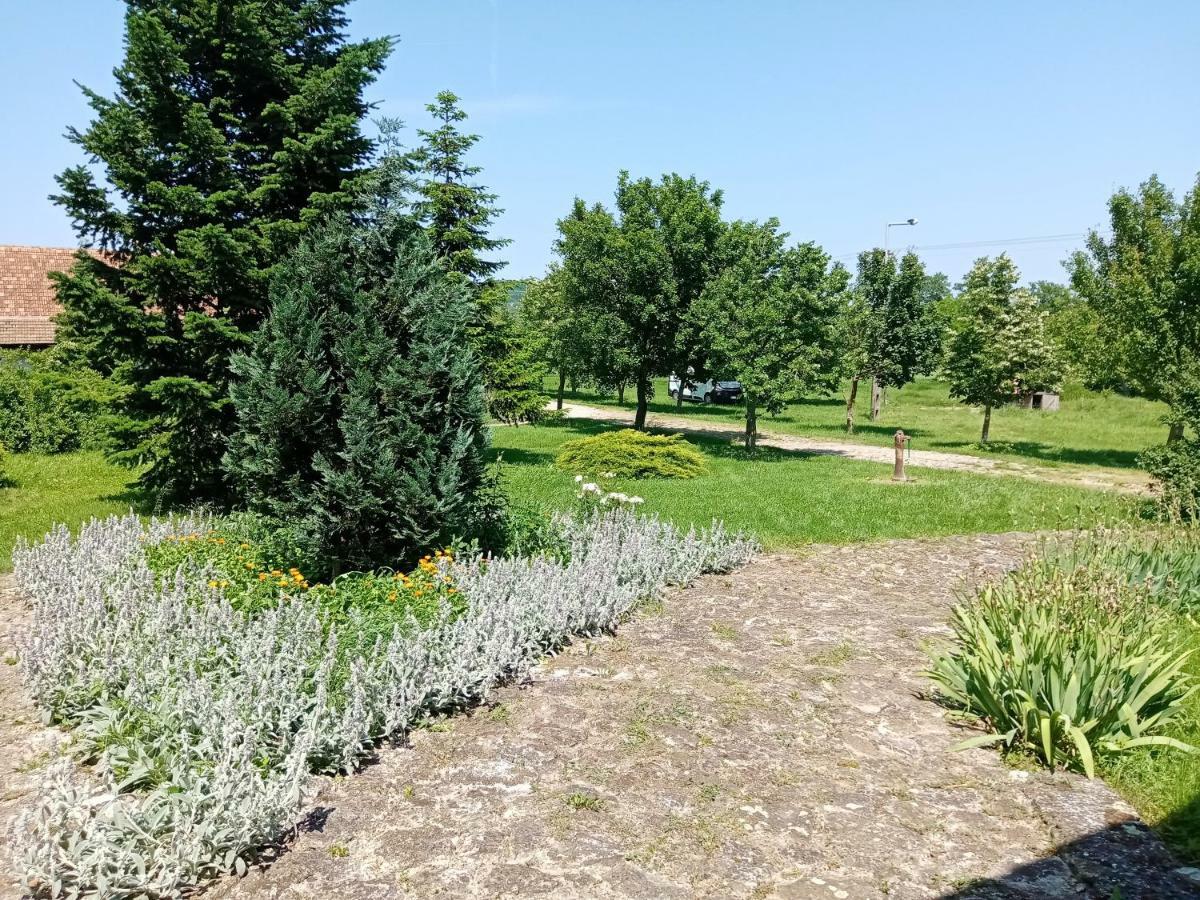 Vendektanya Vendeghaz Hotell Tapolca Exteriör bild
