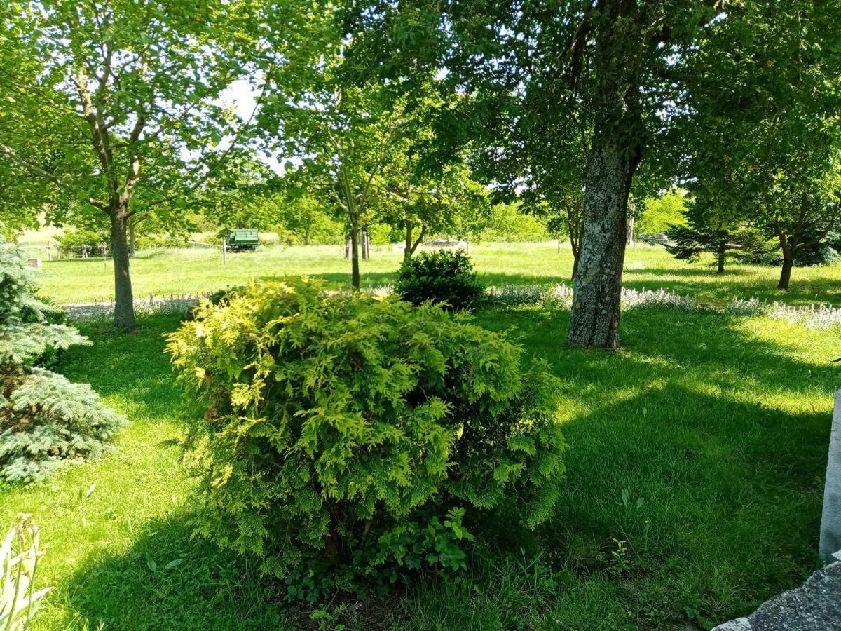 Vendektanya Vendeghaz Hotell Tapolca Exteriör bild